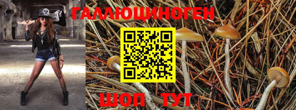 Кострома  Псилоцибиновые грибы Psilocybe  Псилоцибиновые грибы Psilocybine cubensis  Вход с VPN 